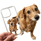 dog phone case transparent