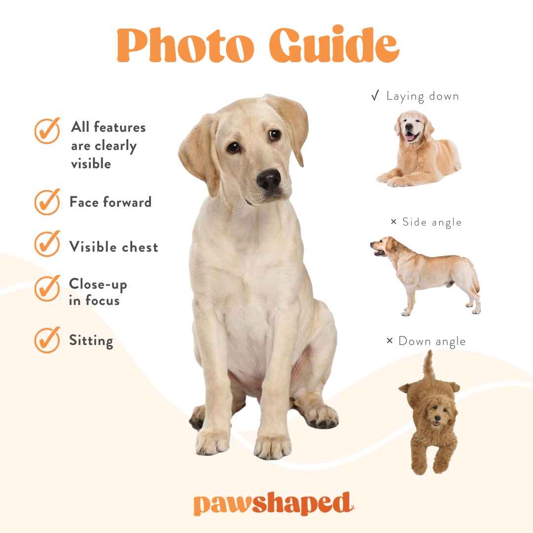 Custom pet phone case photo guide