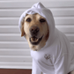 Custom dog portrait sweatshirt 