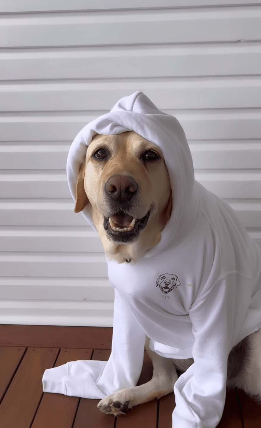 Custom dog portrait sweatshirt 